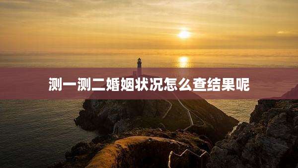 测一测二婚姻状况怎么查结果呢