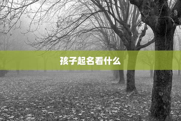孩子起名看什么