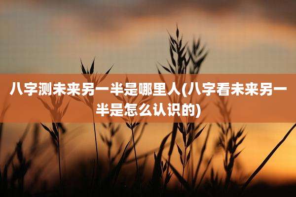 八字测未来另一半是哪里人(八字看未来另一半是怎么认识的)