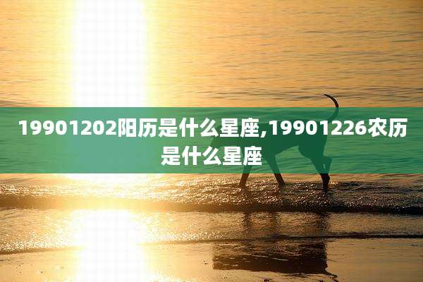 19901202阳历是什么星座,19901226农历是什么星座
