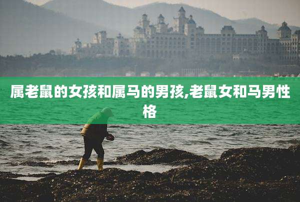 属老鼠的女孩和属马的男孩,老鼠女和马男性格
