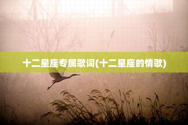 十二星座专属歌词(十二星座的情歌)
