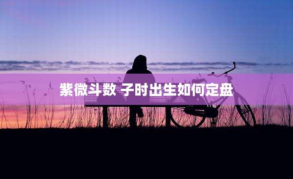 紫微斗数 子时出生如何定盘