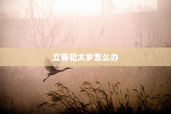 立春犯太岁怎么办