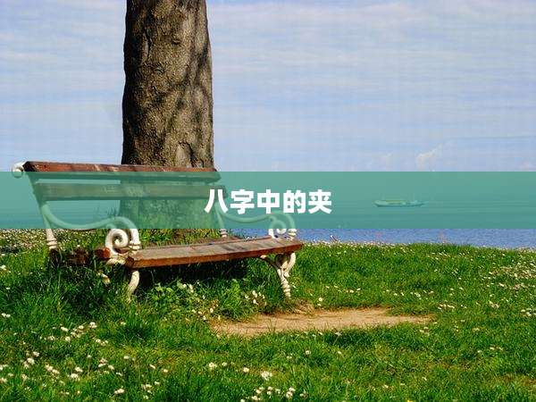 八字中的夹