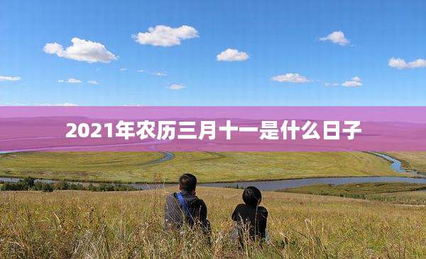 2021年农历三月十一是什么日子