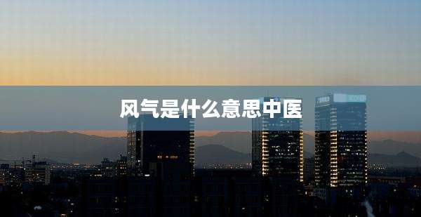风气是什么意思中医