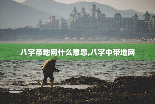 八字带地网什么意思,八字中带地网