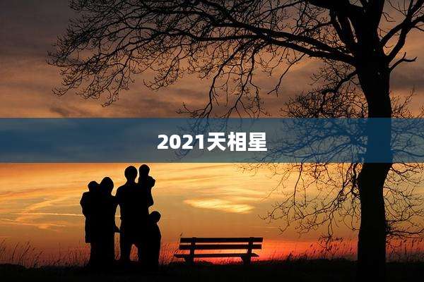 2021天相星