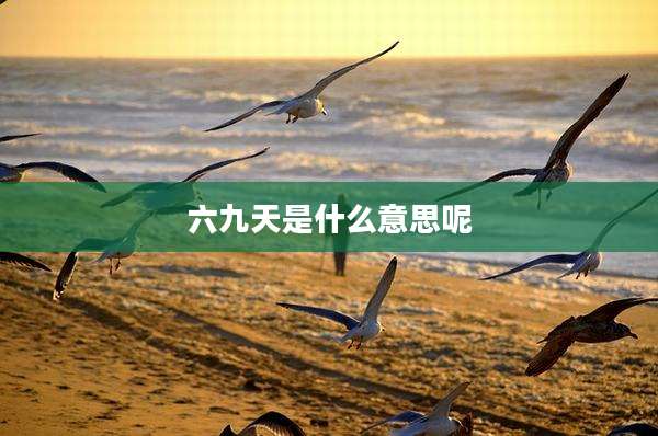 六九天是什么意思呢