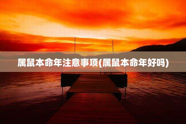 属鼠本命年注意事项(属鼠本命年好吗)