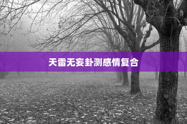 天雷无妄卦测感情复合