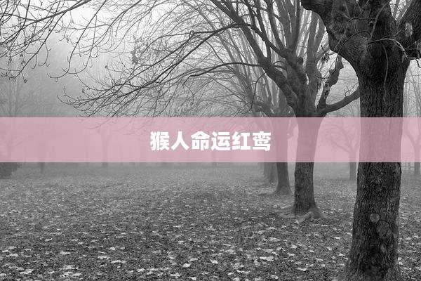 猴人命运红鸾