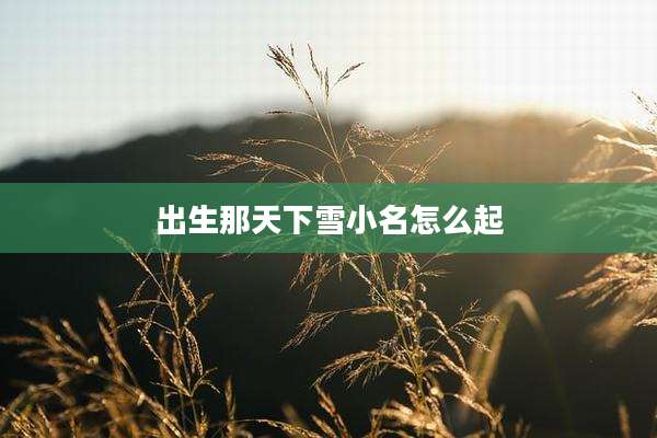 出生那天下雪小名怎么起