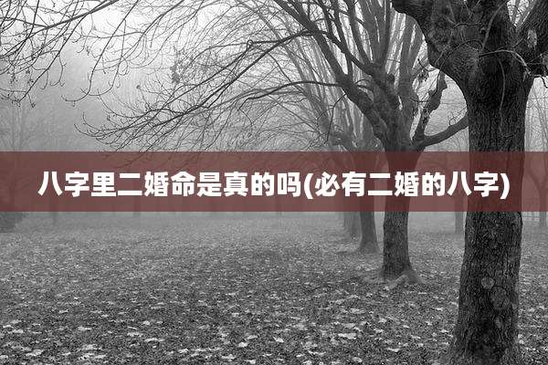八字里二婚命是真的吗(必有二婚的八字)