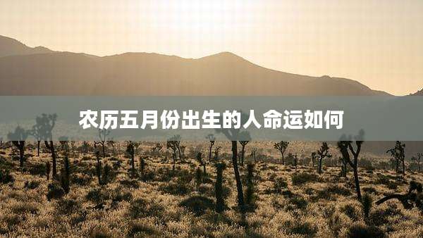 农历五月份出生的人命运如何