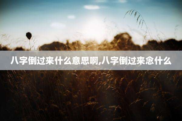 八字倒过来什么意思啊,八字倒过来念什么