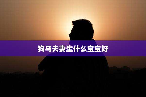 狗马夫妻生什么宝宝好
