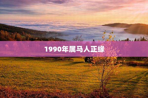 1990年属马人正缘