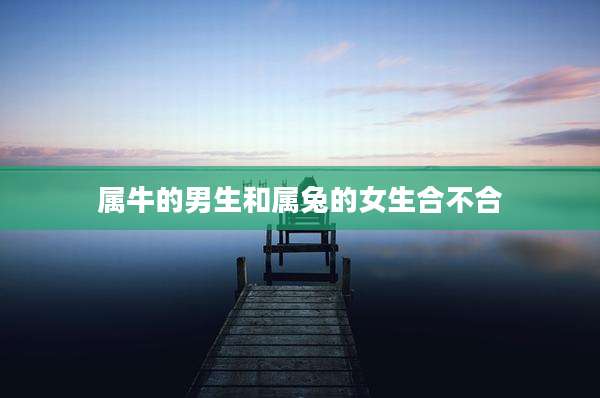 属牛的男生和属兔的女生合不合