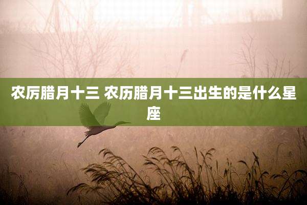 农厉腊月十三 农历腊月十三出生的是什么星座