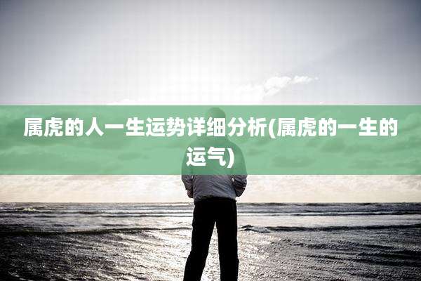 属虎的人一生运势详细分析(属虎的一生的运气)