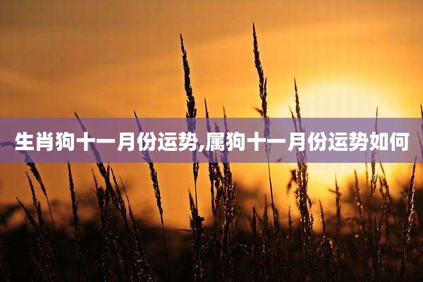 生肖狗十一月份运势,属狗十一月份运势如何