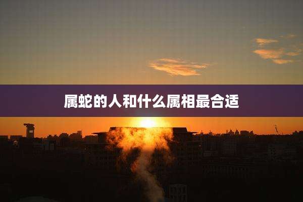 属蛇的人和什么属相最合适