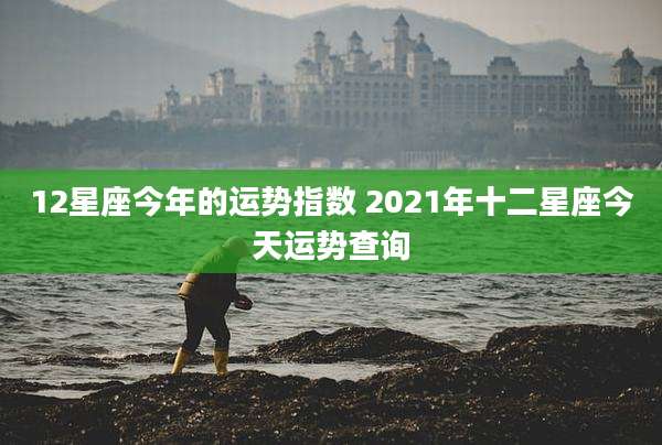 12星座今年的运势指数 2021年十二星座今天运势查询
