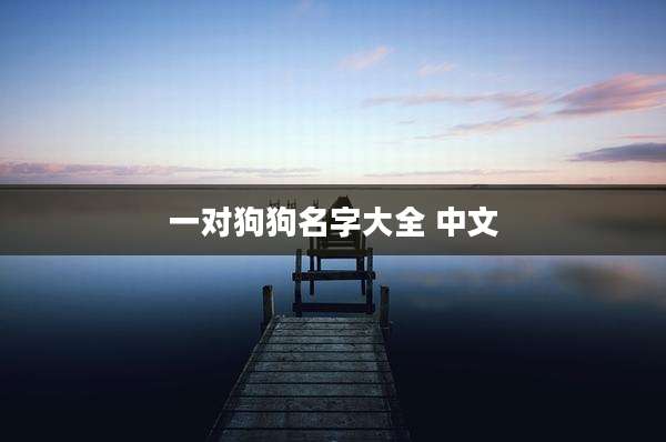 一对狗狗名字大全 中文