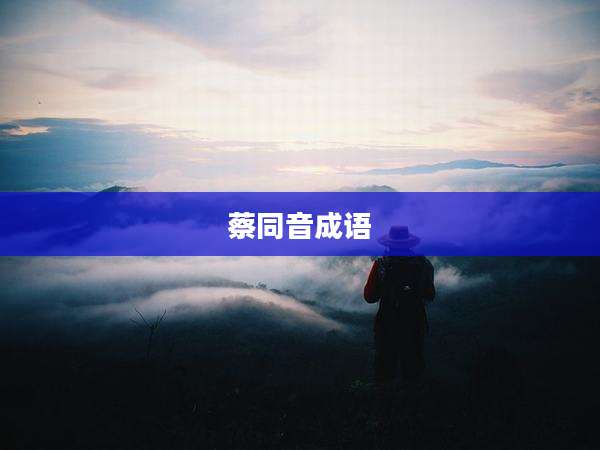 蔡同音成语