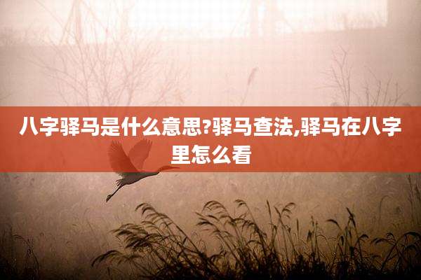 八字驿马是什么意思?驿马查法,驿马在八字里怎么看