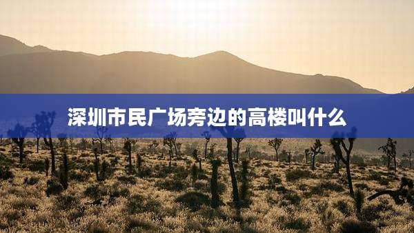 深圳市民广场旁边的高楼叫什么