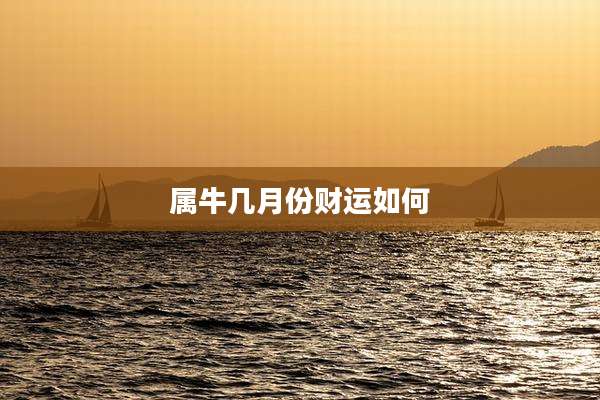 属牛几月份财运如何
