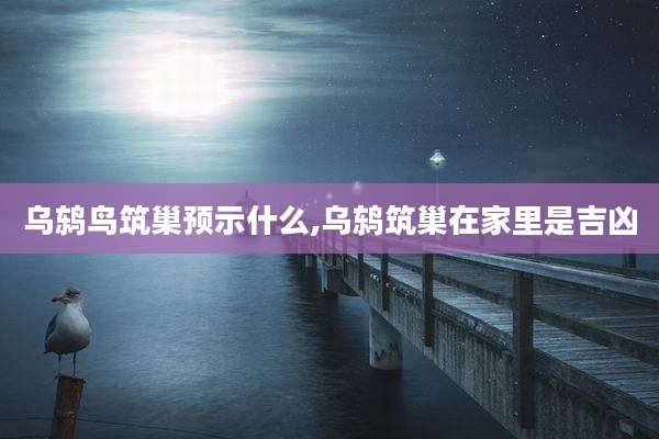 乌鸫鸟筑巢预示什么,乌鸫筑巢在家里是吉凶