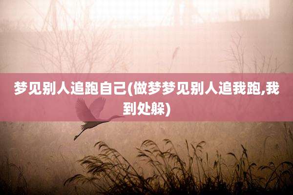 梦见别人追跑自己(做梦梦见别人追我跑,我到处躲)