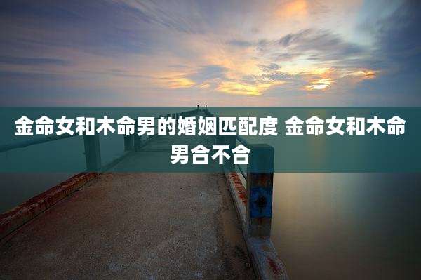金命女和木命男的婚姻匹配度 金命女和木命男合不合