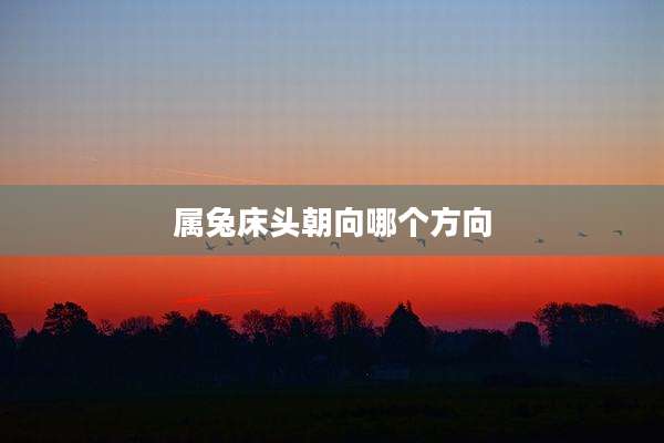 属兔床头朝向哪个方向