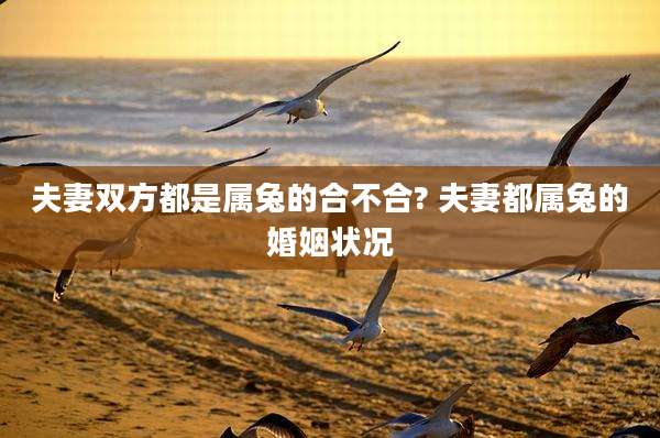 夫妻双方都是属兔的合不合? 夫妻都属兔的婚姻状况