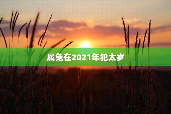 属兔在2021年犯太岁