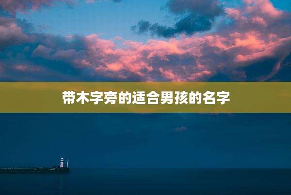 带木字旁的适合男孩的名字