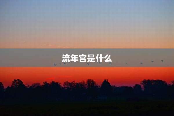 流年宫是什么
