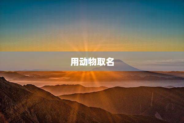 用动物取名