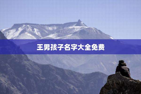 王男孩子名字大全免费