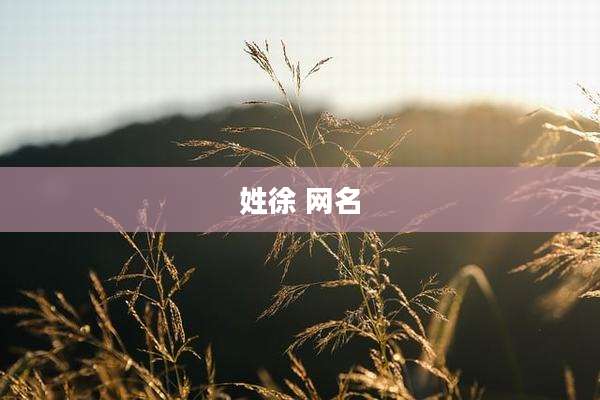 姓徐 网名
