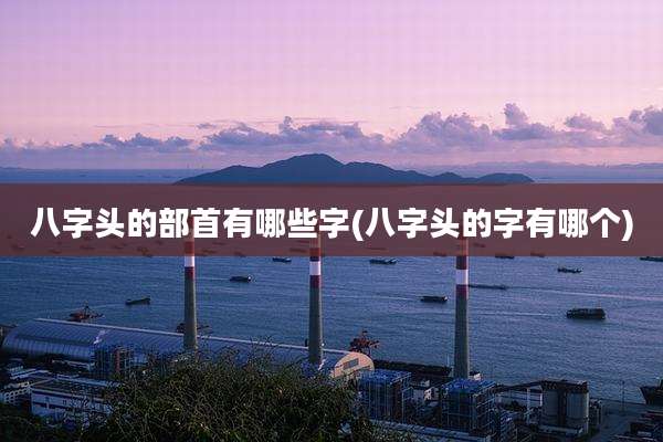 八字头的部首有哪些字(八字头的字有哪个)