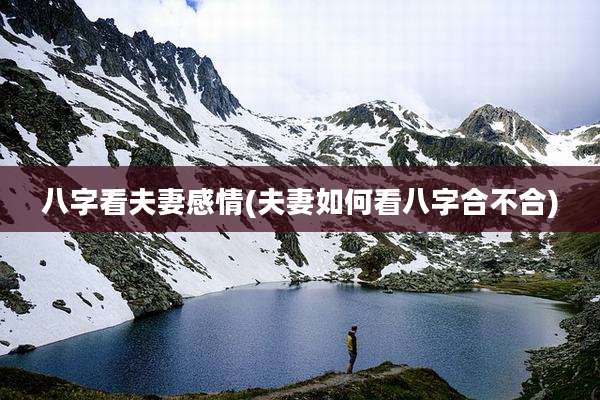 八字看夫妻感情(夫妻如何看八字合不合)