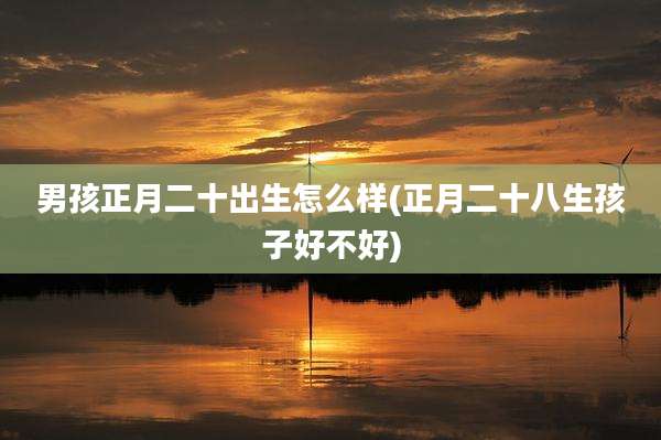男孩正月二十出生怎么样(正月二十八生孩子好不好)