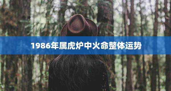 1986年属虎炉中火命整体运势
