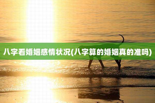 八字看婚姻感情状况(八字算的婚姻真的准吗)